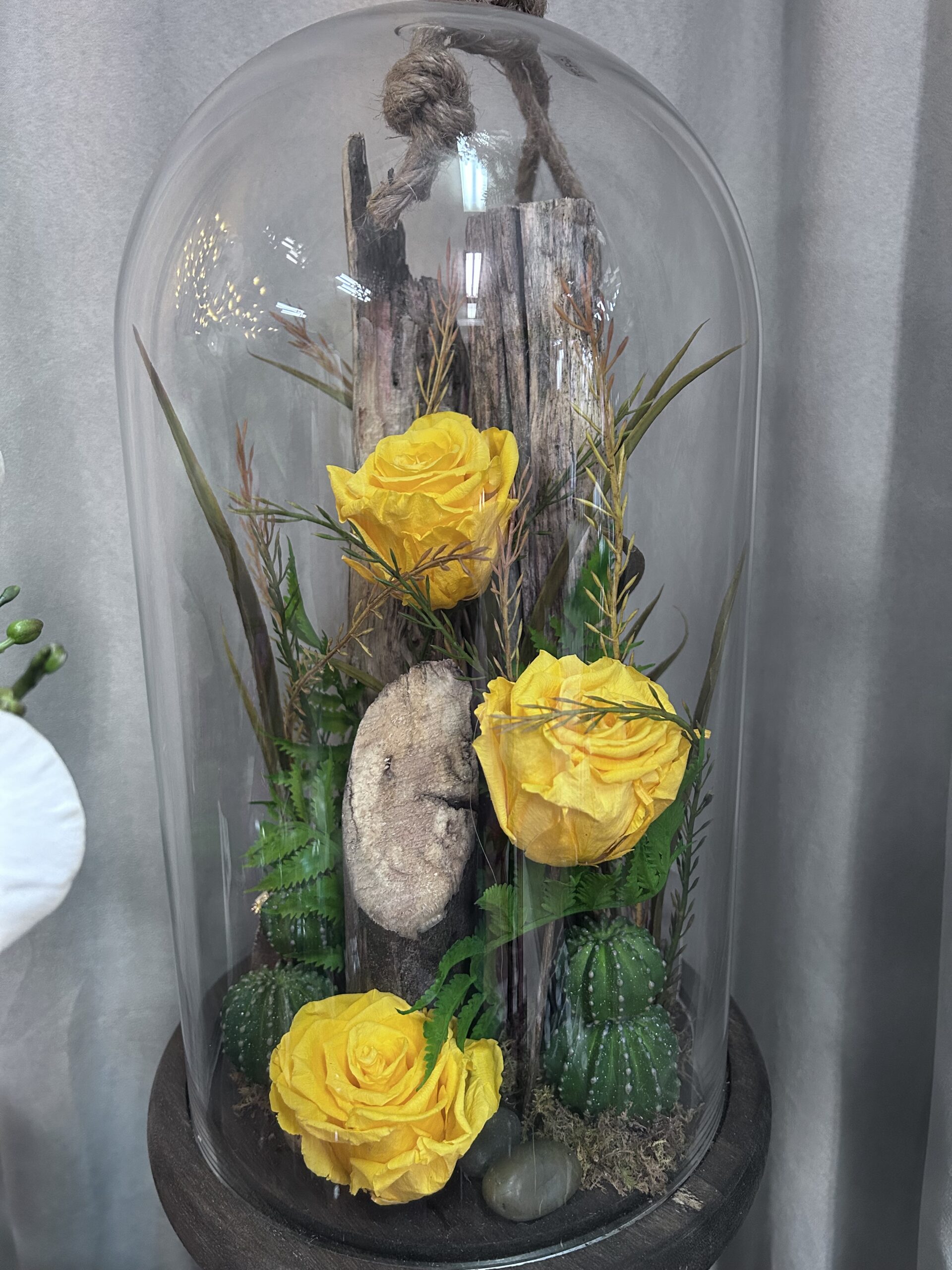 Rose éternelle sous cloche – Image 4