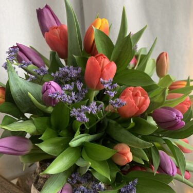 Tulipes c'est tout !