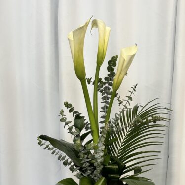 Trinité de lumière